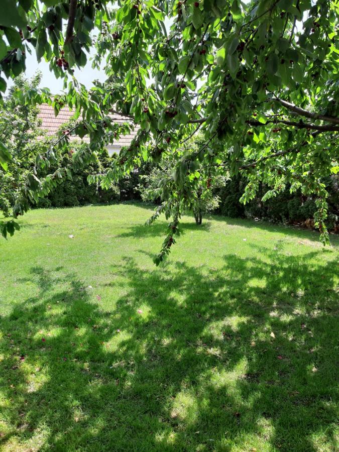 Eisenstadt Apartments Εξωτερικό φωτογραφία